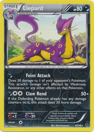 Liepard 65/98 Unlimited