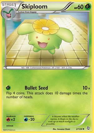 Skiploom 2/124 Unlimited