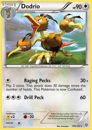 Dodrio 100/135 Unlimited