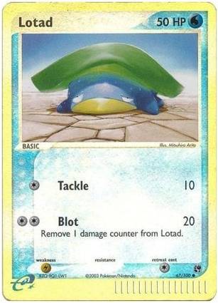 Lotad 67/100 Unlimited