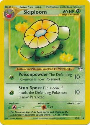 Skiploom 49/111 Unlimited