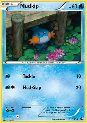 Mudkip 33/160 Unlimited