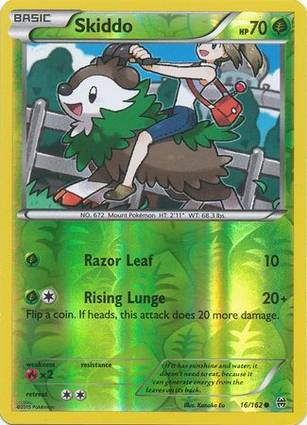 Skiddo 16/162 Unlimited