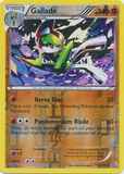Gallade81/113 Unlimited