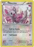 Minccino84/99 Unlimited