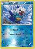 Oshawott39/149 Unlimited