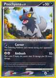 Poochyena116/146 Unlimited