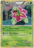 Meganium26/123 Cracked Ice Holo