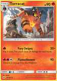 Torracat25/149 Unlimited