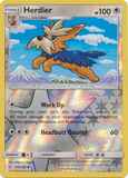 Herdier175/236 Unlimited