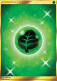 Grass Energy167/145 Unlimited