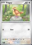 Pidgey162/197 Unlimited
