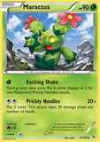 Maractus10/106 Unlimited