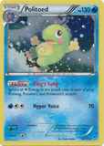 Politoed18/111 Cosmos Holo