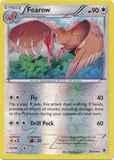Fearow79/119 Unlimited