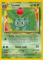 Southern Islands (Neo) Pokmon Card Set | Browse, Track & Value